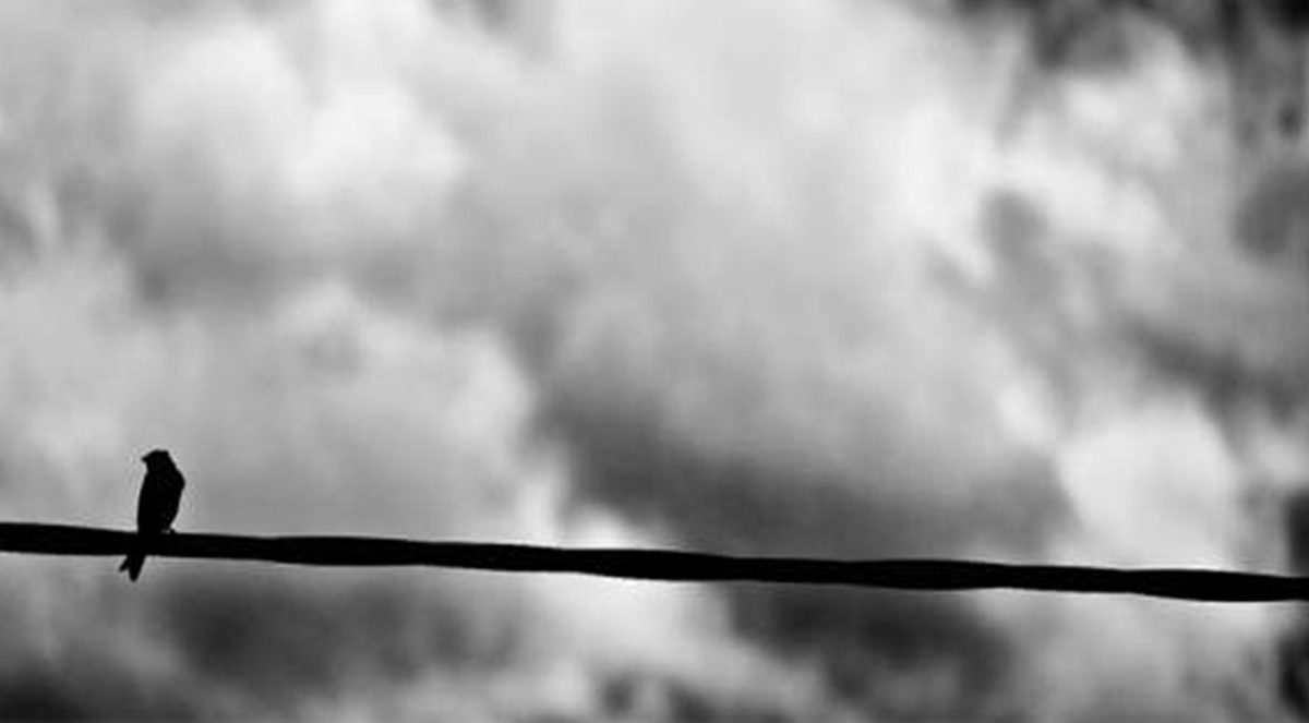 LA POESIA di Giorgio Bongiorno: “Il filo”