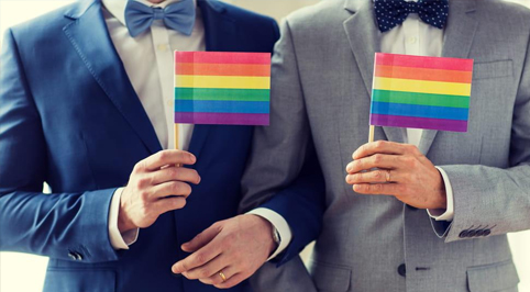“STEFANIA CELENZA: “Le unioni civili delle coppie omosessuali hanno i diritti ma non i doveri del matrimonio eterosessuale. La realtà dei figli nati in provetta o con l’utero in affitto”