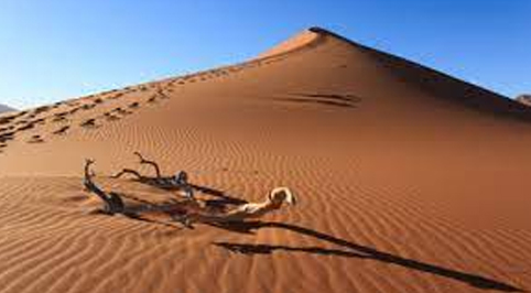 SILVANA DE MARI: “È nel deserto che si capisce il valore dell’acqua”