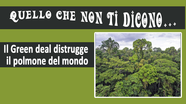 SEGRE: “Il Green Deal distrugge il polmone del mondo”