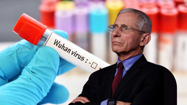 SEGRE: “L’NIH di Anthony Fauci avrebbe finanziato il laboratorio di Wuhan per esperimenti proibiti su “topi umanizzati”